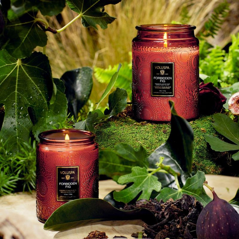 Voluspa Forbidden Fig Large Jar Candle 100timer